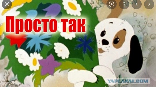 Мне стыдно... Простите меня...