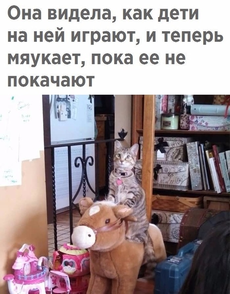 Картинки и мемы, всем отличных выходных