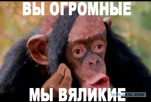 "Это нелюди"