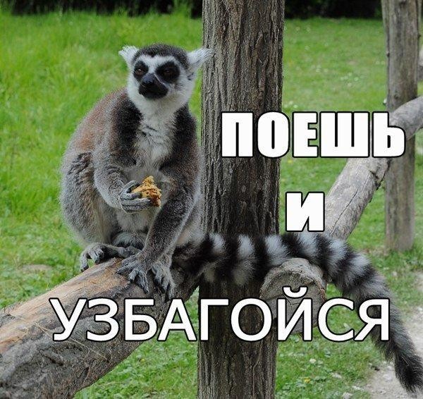 Чё жрешь?