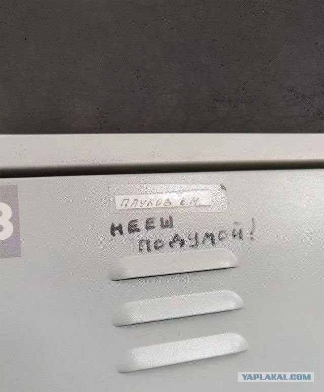 Смешные фамилии