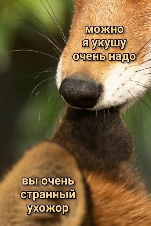 Юмор в картинках и без