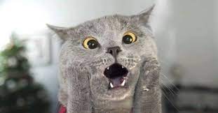 Этого.Не.Можед.Быдь
