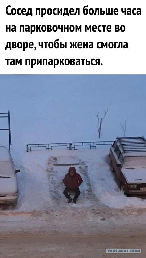 Так себе картинки 20.12.22