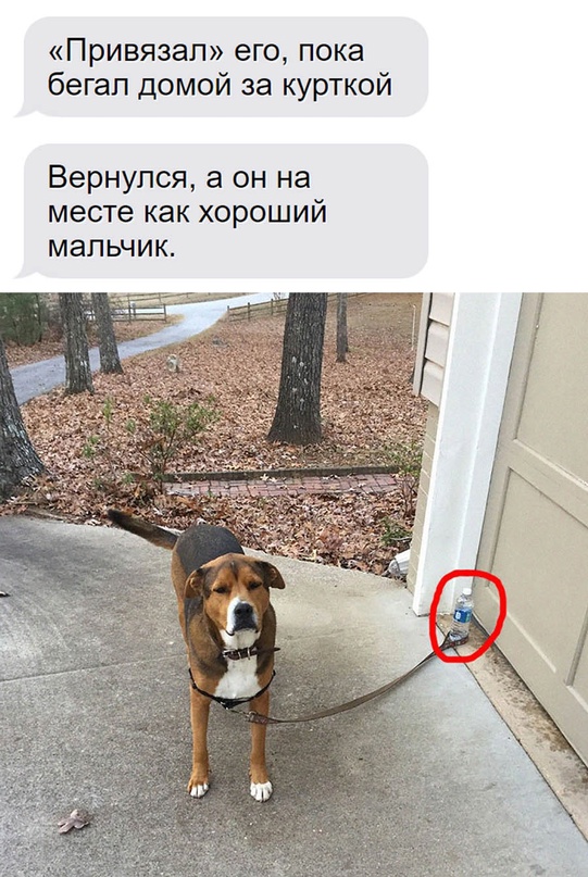Немного картинок для настроения - 133