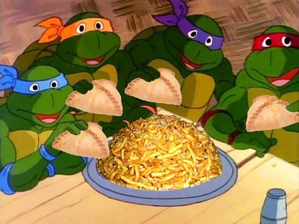 Супер-ниндзя ташбакашки