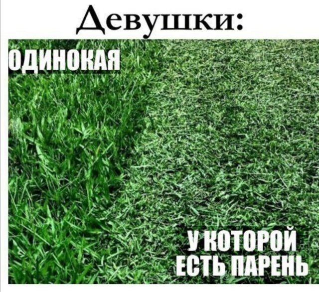 Картинки и мемы, всем хороших выходных
