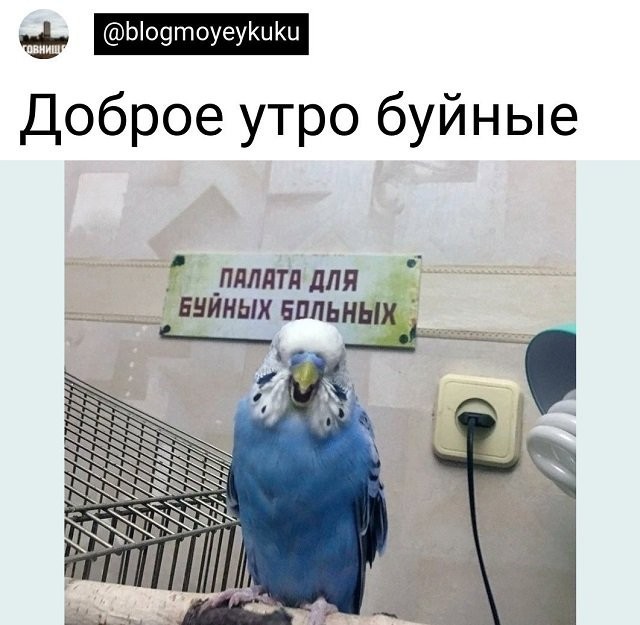 Подборка картинок 06.05.2023