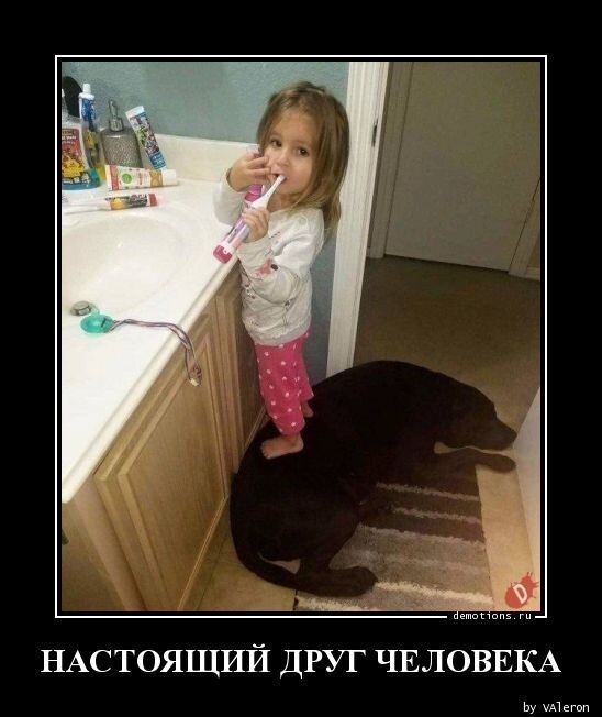 Немного картинок 07.05.23