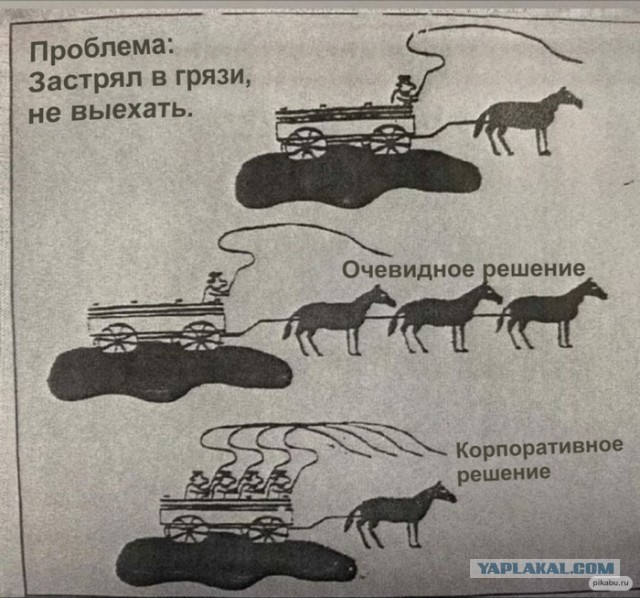 Немного мотивации для мужиков