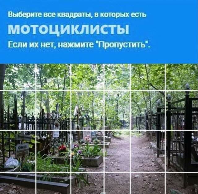 Картинок вам в серые трудовыебудни
