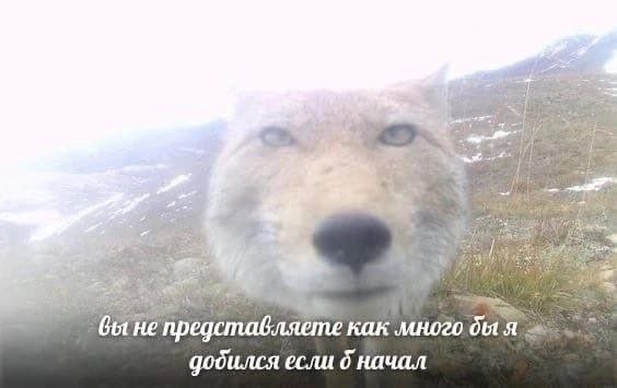 Всего понемногу. И снова пятничный.