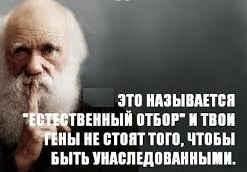 Под Новосибирском 26-летняя мать 5-х детей согласилась покататься с пьяным любовником на байке и погибла