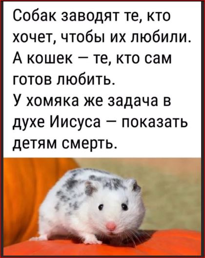 Победная поступь идиотизма по планете – том 17