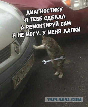 Дохлый женский аргумент: они свято верят, что они нужны мужчинам ради уюта