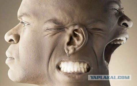 Все упоротые