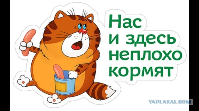 Таити, Таити… не были мы ни в какой Таити. Нас и здесь неплохо кормят!