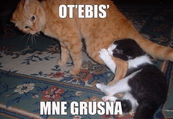 Просто. Не. Трогайте. Меня