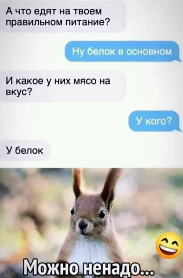 https://s00.yaplakal.com/pics/pics_original/6/0/3/19393306.jpg