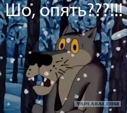 На Трампа совершили попытку покушения