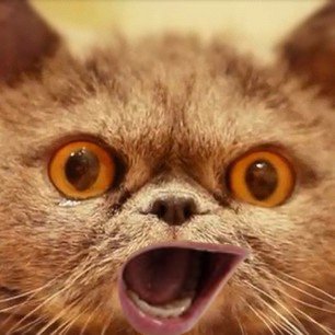 Фотожаба: Девчачьи эмоции