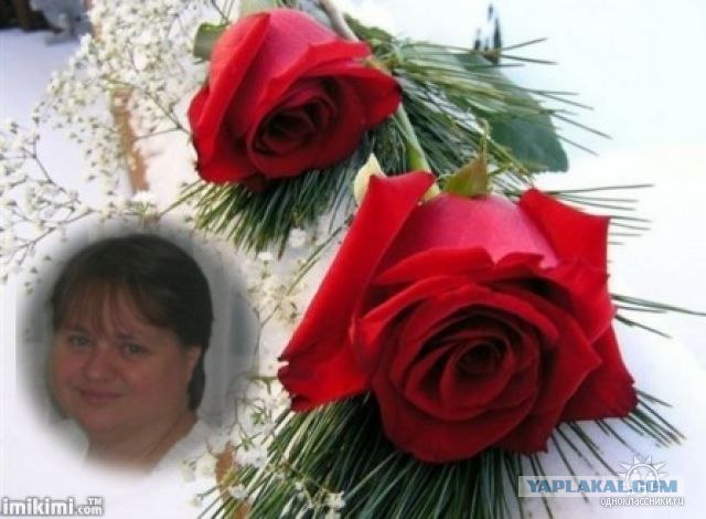Дикие фото из социальных сетей