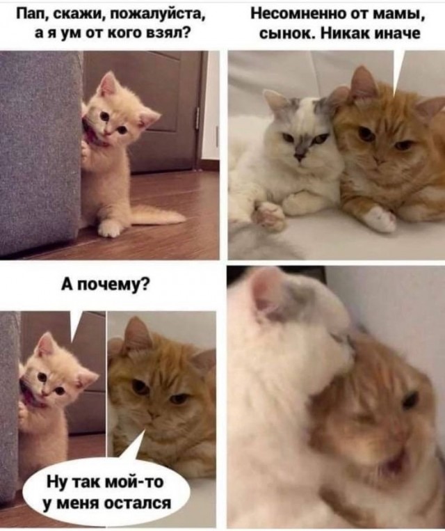 Я страдаю ради будущих детей