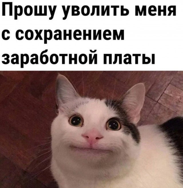Весёлый полтишок 18.03.2025