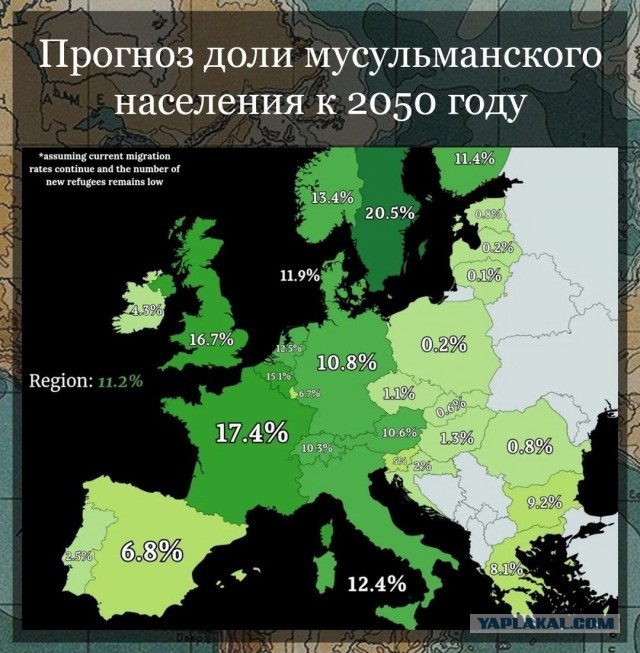 Немного бесполезной инфографики