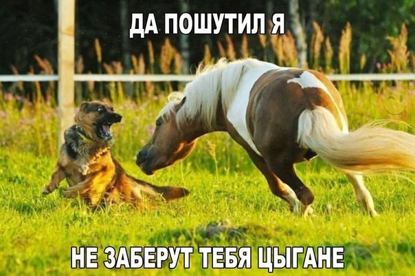 Воскресные картинки