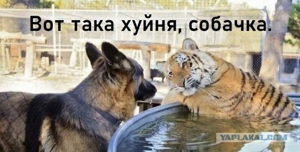 Повреждение стартового комплекса на Байконуре ставит на паузу полеты к МКС