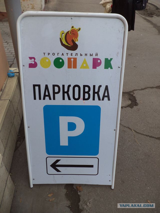 Трогательный зоопарк