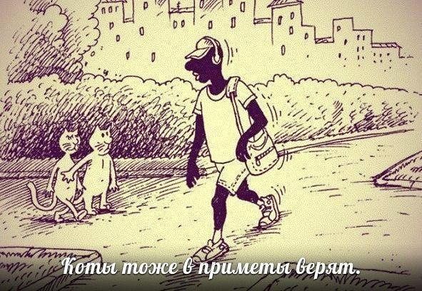 Капля позитива