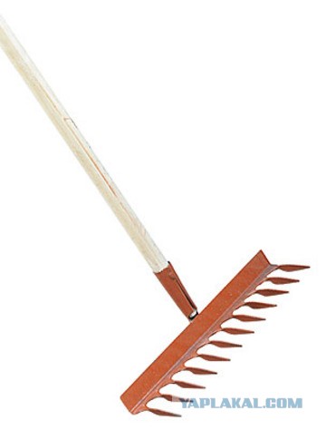 СтопХам 74 Истерика