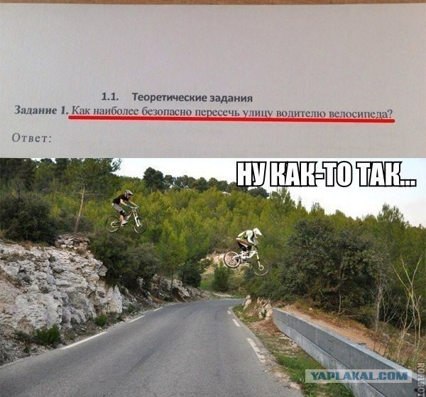 Смешные картинки с подписями