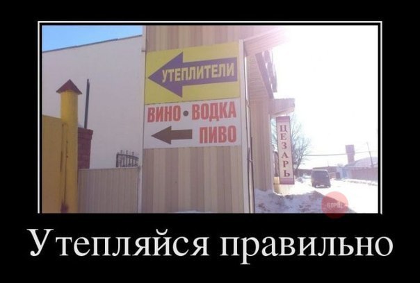 Смешные картинки с подписями 2