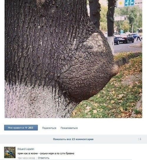 Алматы Жемчужина Казахстана!
