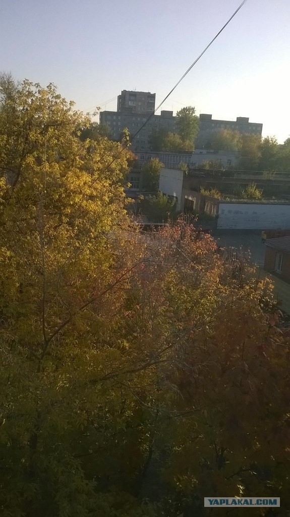 А что у Вас сейчас?