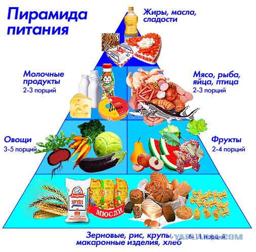 Вегетарианство vs мясоедство
