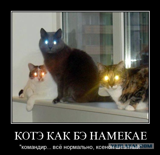 Псевдоксенон