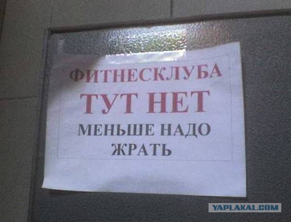 Мой фитнес трекер