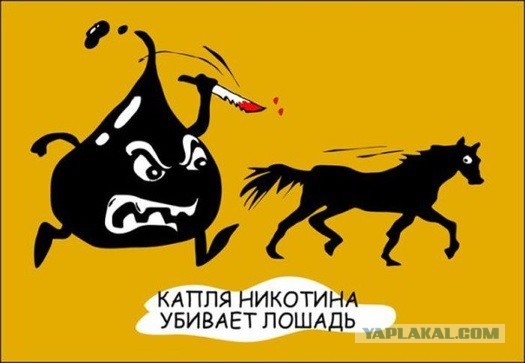 Собчак предупредили, что она следующая