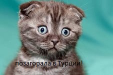 Жена называет другим именем
