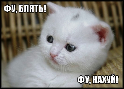 Рабыни секса... или дурь во всей "красе"!