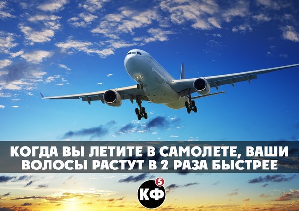 25 интересных фактов.
