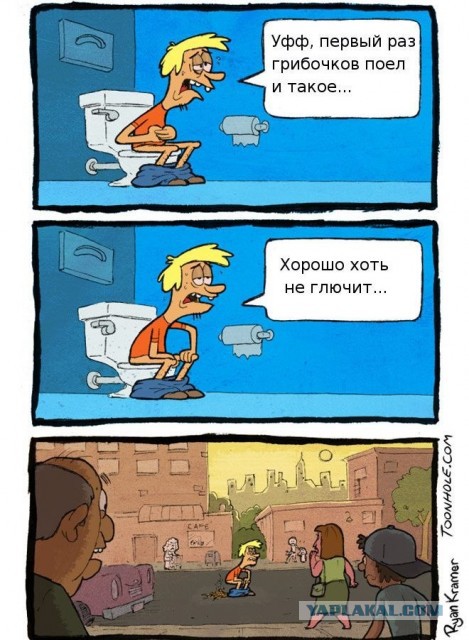 Наш мозг и популярные вредные вещества