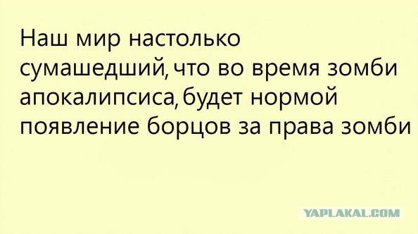 Картинки и прочее