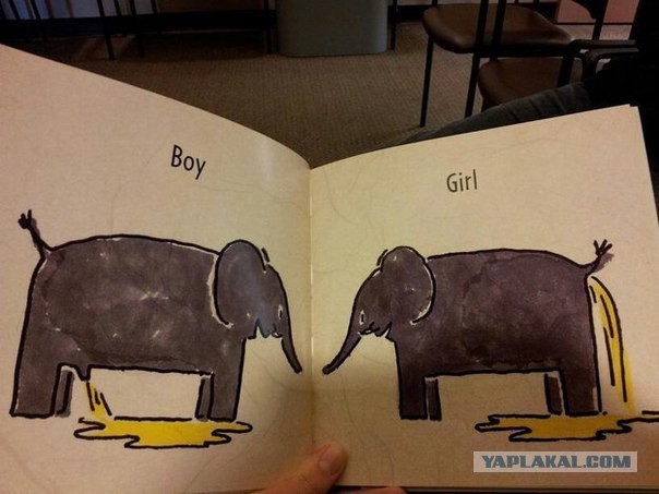 Разные картинки из сети