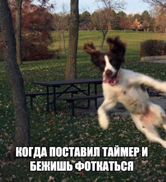 Веселые картинки