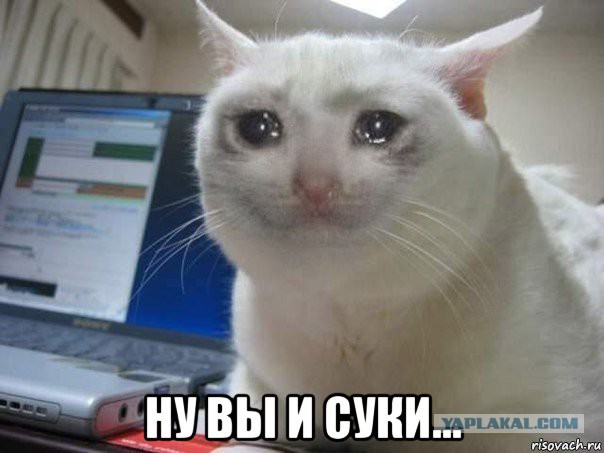 "Газпром" больше не будет бесплатно подавать газ к "Вечному огню" в Великом Новгороде
